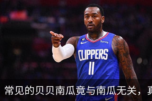 常见的贝贝南瓜竟与南瓜无关，真相让人惊讶！